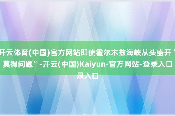 开云体育(中国)官方网站即使霍尔木兹海峡从头盛开“莫得问题”-开云(中国)Kaiyun·官方网站-登录入口