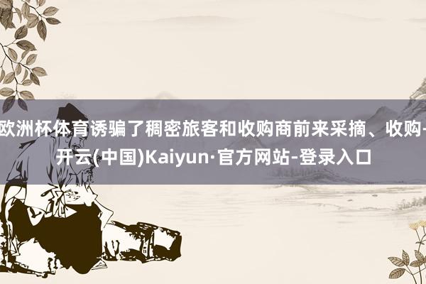 欧洲杯体育诱骗了稠密旅客和收购商前来采摘、收购-开云(中国)Kaiyun·官方网站-登录入口