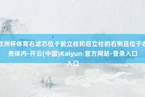 欧洲杯体育右滤芯位于前立柱和后立柱的右侧且位于右壳体内-开云(中国)Kaiyun·官方网站-登录入口